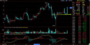 歡迎訪問渤海商品交易所網站!